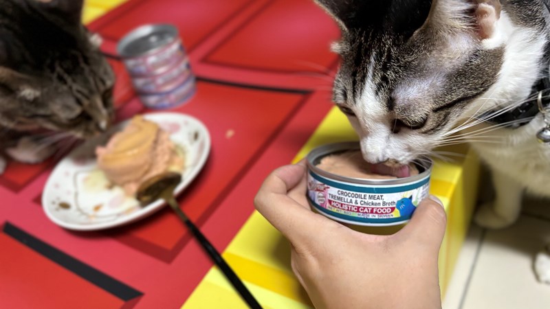 女人知己試用大隊,口碑行銷,部落客行銷,PURRFACT 波菲特貓用主食罐,主食罐,PURRFACT波菲特,貓主食罐,貓罐,PURRFACT波菲特貓用主食罐,魚肉蔓越莓主食罐,鮮嫩雞主食罐,鹿肉雞肉主食罐,牛肉鵪鶉貓主食罐,干貝蠶蛹配方,鱷魚肉白木耳配方,雞肉魚肉配方,安心鶉配方,評價,體驗,適口性佳,心得,成貓適用,高齡貓適用,質地是慕絲狀